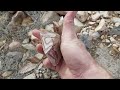 What Rockhounding is All About: Unexpected Wonderstone Find in NV