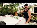 Spring 2022 Exotica Plants Box Opening Pt. I