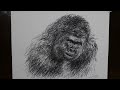Amazing Gorilla Drawing with a Biro Pen