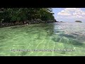 ALIEN JELLYFISH!: Phuket Snorkeling (Kata Beach) (4K)