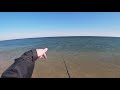 fishing sandy hook NJ, OCTOBER FALSE ALBACORE ON GULP!? LIL' TUNERRR