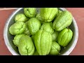 Unexpectedly, Growing Chayote at Home is so easy, so many fruits