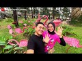 EXPLORE WISATA TANARIA PARK TRAWAS