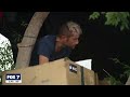 Texas homeless man builds house in tree | FOX 7 Austin