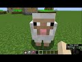 Building Animal Character on Minecraft itsFunneh!!