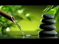 Relaxing Music Relieves Stress, Anxiety and Depression 🌿 Heals the Mind, Deep Sleep