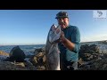 Finally Catching My First White Seabass At Malibu