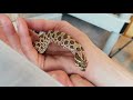 Feed My Pet Friday: Hognose Snakes II