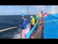 遠洋カツオ一本釣り船 日本近海 メバチマグロ 操業