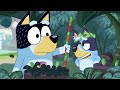 Dejlige øjeblikke med Bluey | Bluey På Dansk