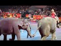 Barnum and Bailey Circus Shaolin and Elephant Act