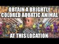 Obtain A Brightly Colored Aquatic Animal At This Location