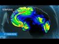 阿茲海默症 |  腦部有害蛋白質長期堆積 |  腦神經反應遲緩 |  四大生活療法