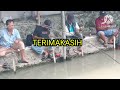 EKSTRIM...!! Mancing Nilem Harian Yang Menantang.