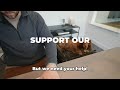 SEATMATE : OFFICE FURNITURE FOR YOUR PET | Kickstarter | Gizmo-Hub.com