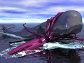 ballena calamar.wmv