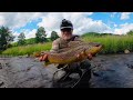 Spin Fishing For Big Summer Brown Trout (Beating The Heat) (2024) #fishing #fish #trout