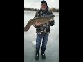 Frenchmans bay Pickering ice fishing