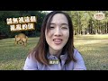 【貝遊香港】尋找白千層美景「城門水塘」＋大草地休閒慢活│＊航拍⛰