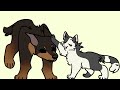 Warrior cats as Vines (part 1)