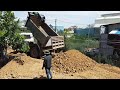 Perfect First Start New Project! filling land bulldozer push Forest with 5ton Truck