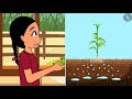 Nutrition In Plants | Part 1/3 | English | Class 7