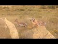 Beautiful Wyoming 4K • Peaceful Relaxation Film with Soothing Music