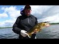 This isn't Fair! Catching GIANT Walleye with Live Worms & Livescope