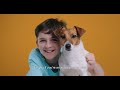 Here’s Why You Should Get a Jack Russell Terrier (ai voices)