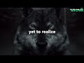 If You Feel Alone: WATCH THIS (Lone Wolf - The Original Motivational Audios)