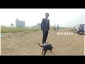Basics Of Dog Training|Day1st Training session for Beginners in tamil|How to train any Dog the basic