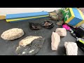 Rock Identification with Willsey: Intro to Igneous Rocks!