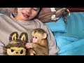 Mommy dress diaper and feeding milk baby monkey Miker