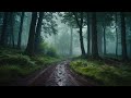 Relax Tonight to Nottingham Forest, Rainfall :: ASMR, Ambient