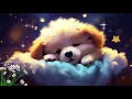 No More Insomnia in Under 3 Minutes💤Fall Asleep Quickly - Gentle Music for Nerves