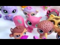 Mega Littlest Pet Shop Collection Tour All Cats Dogs Fairy More Animals LPS Toys Videos Cookieswirlc