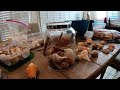 The Shell Nuts - Episode 2 - Displays and gift ideas for your seashells