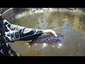 High Mountain Rainbow Trout Fishing