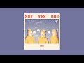 Say Yes Dog - DRÄI (Full Album)