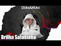 Bieltezin - Brilha Safadinha (Áudio Oficial)