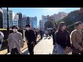 [Tokyo Walking Tour] Place to Visit during Autumn in Tokyo #tokyotravelguide #japan #asmr #walking