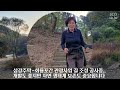 육지속의 섬마을 회룡포가 보고싶어 떠나다(20231030)