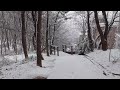 A walk in the park on a snowy day, snow sounds, wind sounds, snowy scenery, white noise asmr