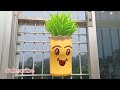 Diy with saffola oil container || diy planter || planter saffola oil can || planter diy