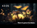 Lovely yellow fairy forest 1 hour timer, study, work, relax calm w/ music