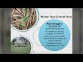 Getting Started with Cover Crops