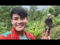 Elaichi (Cardamom) Farming // Arunachal Pradesh