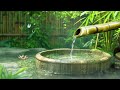 Relaxing Piano Music + Stress Relief🌿Bamboo Water Fountain, Yoga, Sleep Music, Meditation Music, Spa