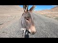 Pamir highway | Tajikistan road trip