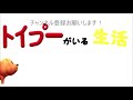 走るの大好き！ドックランで遊びまくる犬【トイプードルがいる生活】